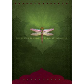 Tree Free Greetings Remnants of Magic Birthday/Encouragement/Friendship Cards, 2 Card Set, Dragonfly, Multicolored (18043)