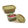 Snips Veggie SnipsLock 1.2 LT Rectangular Food Container with Removable