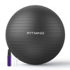 FITMIND_ Extra Thick Exercise Ball Yoga Ball 22in/26in/30in for Workout