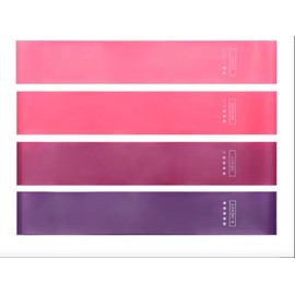 WODFitters Bandelicious Mini Bands Set - 4 Exercise Workout Resistance Bands - Exercise Loops - Workout Flexbands for Stretching, Physical Therapy, Rehab, Home Fitness and Muscle Activation