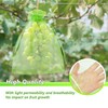 GWHOLE 50pcs 6x8 Inch Fruit Protection Bags, Fruit Cover Mesh
