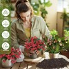 Doter Christmas Cactus Potting Soil Mix 2qt, Ideal for Succulents,