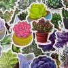 Undisclosed 100pc 1.5" Succulent Plant Cactus Stickers for Notebooks Water