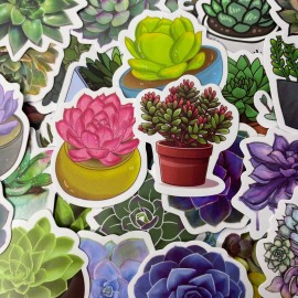 Undisclosed 100pc 1.5" Succulent Plant Cactus Stickers for Notebooks Water Bottles and More