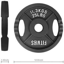 Signature Fitness Olympic 2-Inch Cast Iron Plate Weight Plate for Strength Training and Weightlifting, Style #2, 25LB Pair