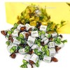 Arcor Chocolate Filled Mints Candy - 5 pounds