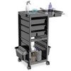 Salon Trolley Salon Cart on Wheels Rolling Salon Tray Large