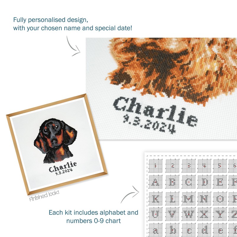 Trimits Large Counted Cross Stitch Kit (Frame Not Included), Dachshund