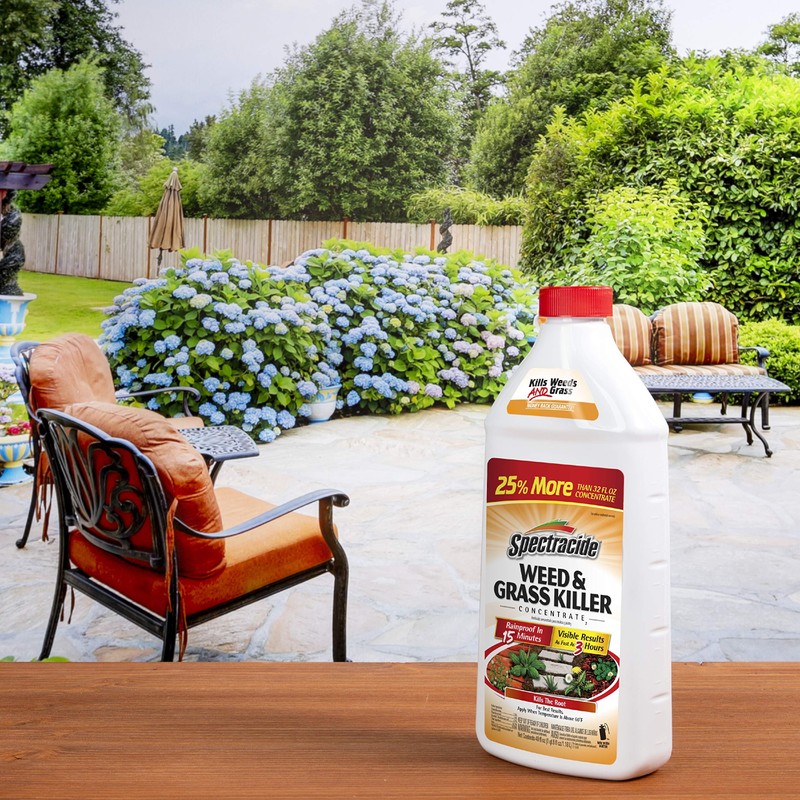 Spectracide HG-56009-1 Weed & Grass Weed and Grass Killer Concentrate
