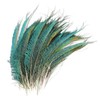 20 Pcs Peacock Feathers, Feathers, Feather, Green Feathers, Feathers for