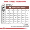ROYAL CANIN ROYAL CANIN Gastro Intestinal Puppy Dog (GIJ 29)