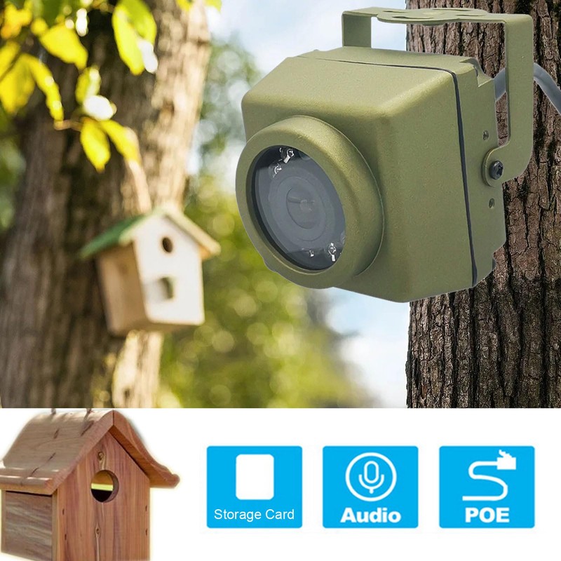 Bird House with Camera, Waterproof Bird Box Camera with Infrared