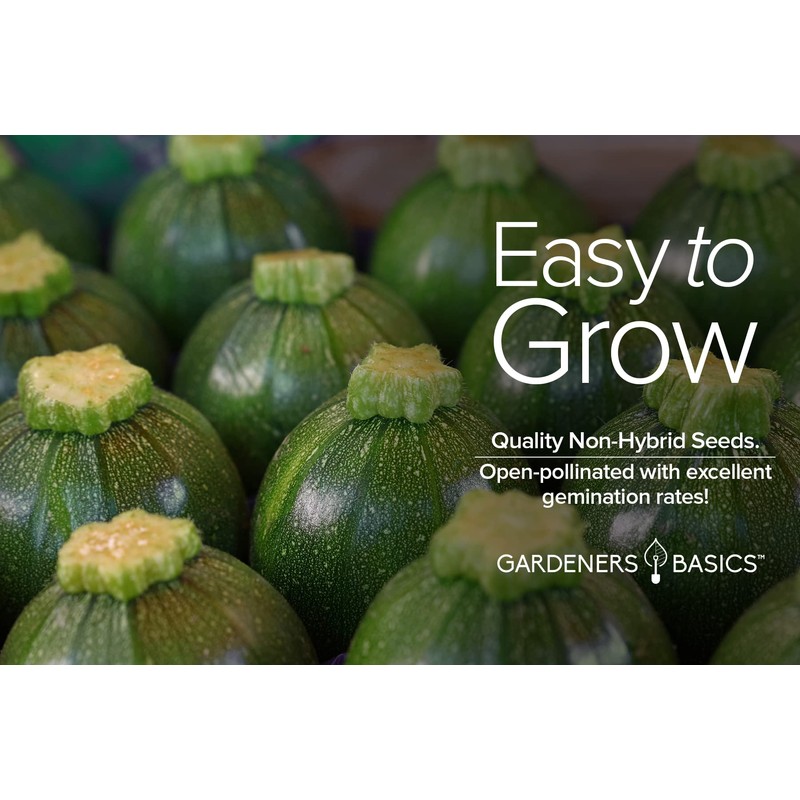 Round Zucchini Seeds for Planting Heirloom, Non-GMO Vegetable Summer Squash