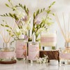 Wax Lyrical | Homegrown | Freesia Tealights