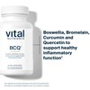 Vital Nutrients BCQ | Vegan Boswellia, Bromelain, Curcumin & Quercetin