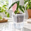 15-Pack Self-Watering Plant Pots for Seedlings and Cuttings – Translucent