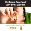 Om Mushroom Superfood Mushroom Master Blend, 80 CT