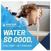 Pentair FreshPoint Easy Flow Under Sink Water Filtration System, PFAS