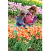 Bloem Watering Can YLW 56Oz