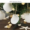 Scallop Shells White Natural Seashell 8 PCS for DIY Craft