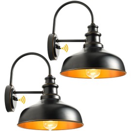 VIANIS Gooseneck Outdoor Light Fixture, 2-Pack Barn Lights Outdoor Dusk to Dawn,10" Black Outdoor Farmhouse Light Fixture for Front Porch,Entryway, Garage,Patio