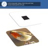 Destination Vinyl ltd Fridge Magnet - Robin Redbreast Bird Animals