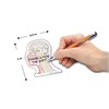 Brain 3D Laser 1lb Crystal with Brain Sticky Notepad, Anatomy,