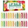 DMSKY Natural Lip Balm Bulk 24 Pack, Moisturizing Lip Balm