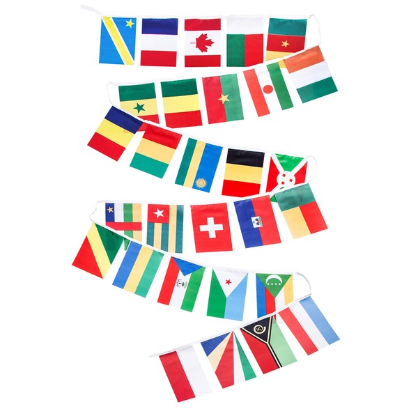 French Language Country Flags - 29 Francophone Countries - Set