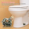 WSDMAVIS 2Pcs Funny Frog Toilet Bolt Caps Decorative Cute Frog