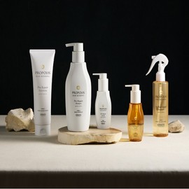 Aekyung Propolis Hair Bonding Shampoo 450ml X 2 + Treatment 250ml