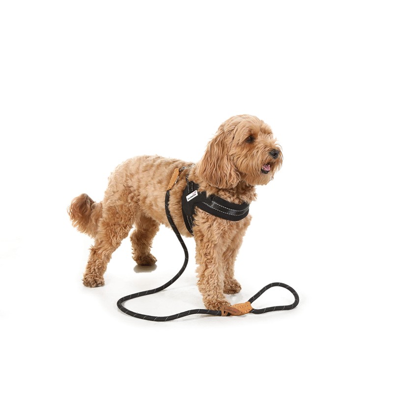 Doodlebone Boomerang Dog Harness, Sapphire, 4-5