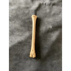 Unbranded 1 Antelope leg bone , Real Bone, Natural, ONE Nature Cleaned Bone, Handle, Craft