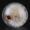 2.8in Shift Knob Crystal Real Dandelions Flowers Universal Accessory with