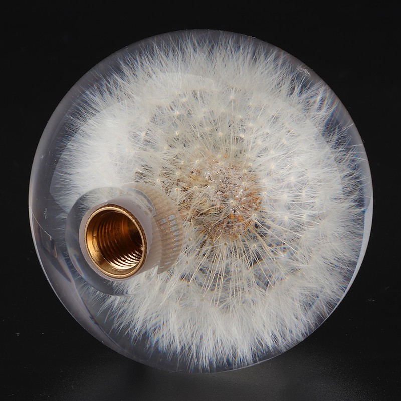 2.8in Shift Knob Crystal Real Dandelions Flowers Universal Accessory with