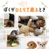 FOily TOily Dog Toy, Chewing Toy, Durable, Stuffed Animal for
