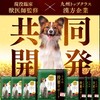 [Veterinarian Supervision] Our Medication Support, Cheese Flavor, Supplement, For Pets,