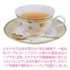 山本漢方製薬 エキナセア茶100% 3gX10H