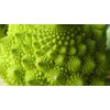 Viridis Hortus - Cauliflower, Romanesco - 300 (1g) Vegetable Seeds