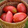 Sheboygan Heirloom Paste Tomato - 50 Seeds - Heirloom &