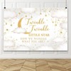 Leowefowa Gender Reveal Backdrop 7x5ft Twinkle Twinkle Little Star Banner