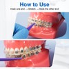 Keilend Orthodontic Rubber Bands, 500 Pcs Teeth Gap Bands with