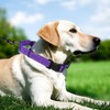 Erbine Martingale Collar for Dogs with Quick Release Buckle, Reflective