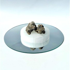 Black Copal (Copal Negro) Resin Oleo Extract in Organic Jojoba Oil | Rare & Sacred Oil | Ethically and Mindfully Sourced | Grounding & Calming | Skin Issues | Body & Face Oil - Volume: 10 ml (Glass Roller Bottle)