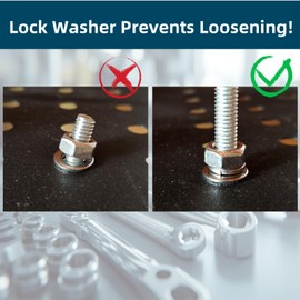 Wlzll 150-Piece Marine Grade M6 304(A2-70)Stainless Kit - Hex Nuts,Spring Washers & Flat Washers|Saltwater Proof|Certified Rustproof, High Strength,For Automotive,Machinery, Furniture and Construction