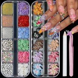 SEMATA 2 Box 3D Flower Nail Charms and Gems, Colorful Nail Rhinestones Charms for Nails Art Jewels Design Decor(Colorful 1)