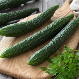 CHUXAY GARDEN Jade Cucumber Seed 25 Seeds Cucumis Sativus Plant Green Vegetable Delicious Non-GMO Vegetables Grows in Just Weeks