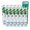 Dentiste (Hyundai Hmall)Dentiste Citrus Fresh 200g x 12 / 덴티스테 시트러스 후레쉬 200g x 12개