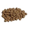 C&S Wild Bird Bluebird Suet Nuggets Mega Box, 8 Pounds