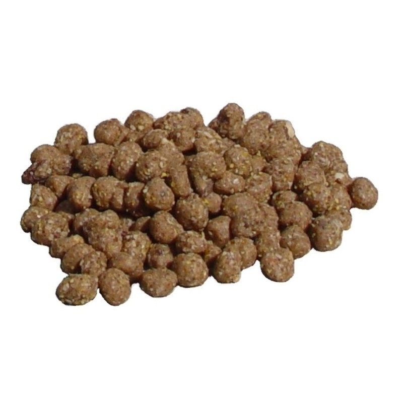 C&S Wild Bird Bluebird Suet Nuggets Mega Box, 8 Pounds